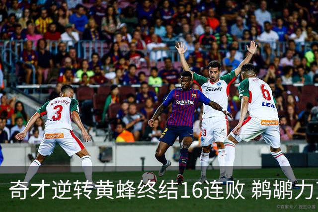 奇才逆转黄蜂终结16连败 鹈鹕力克76人3连胜