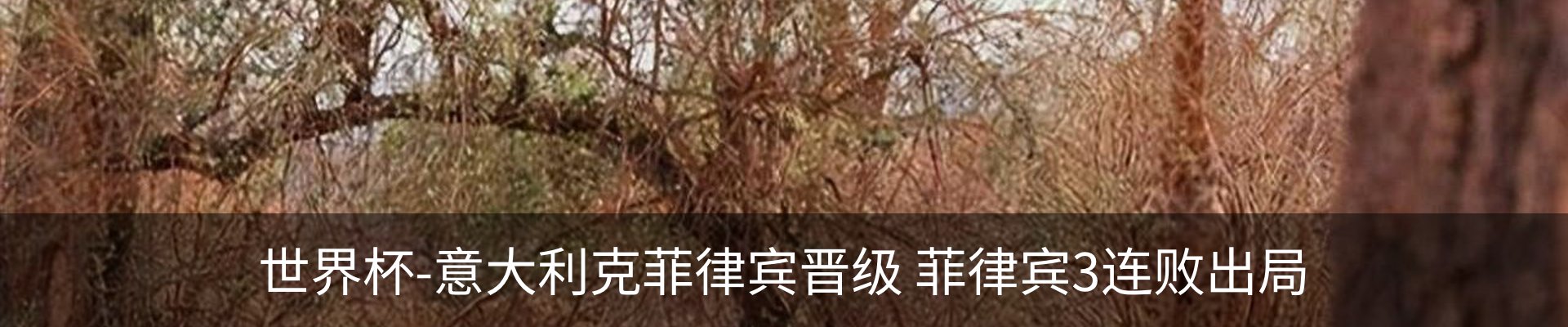 行业资讯